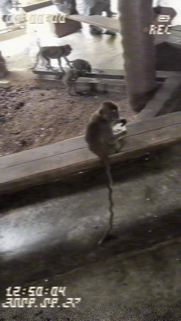 VHS camcorder preview with a soft picture, date, blinking REC, and counter